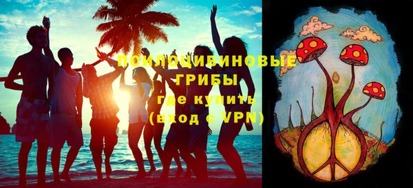 мет Бородино