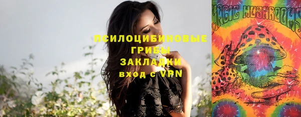 apvp Богородск