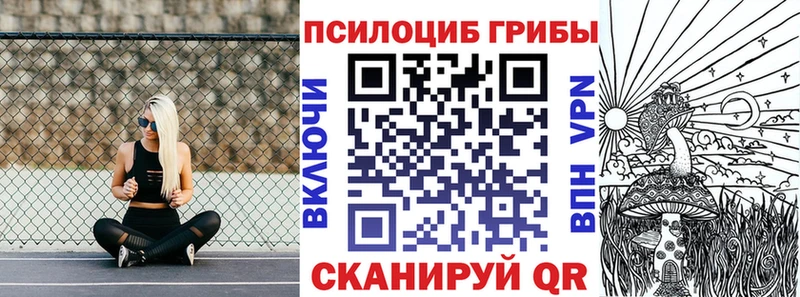 наркота  MEGA tor  Галлюциногенные грибы ЛСД  Новочеркасск 